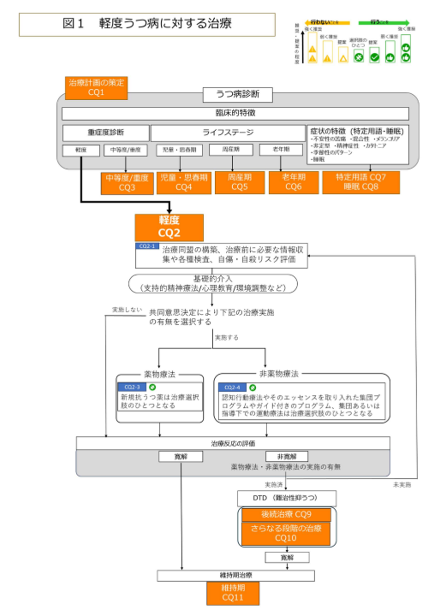 図1 軽度うつ病に対する治療